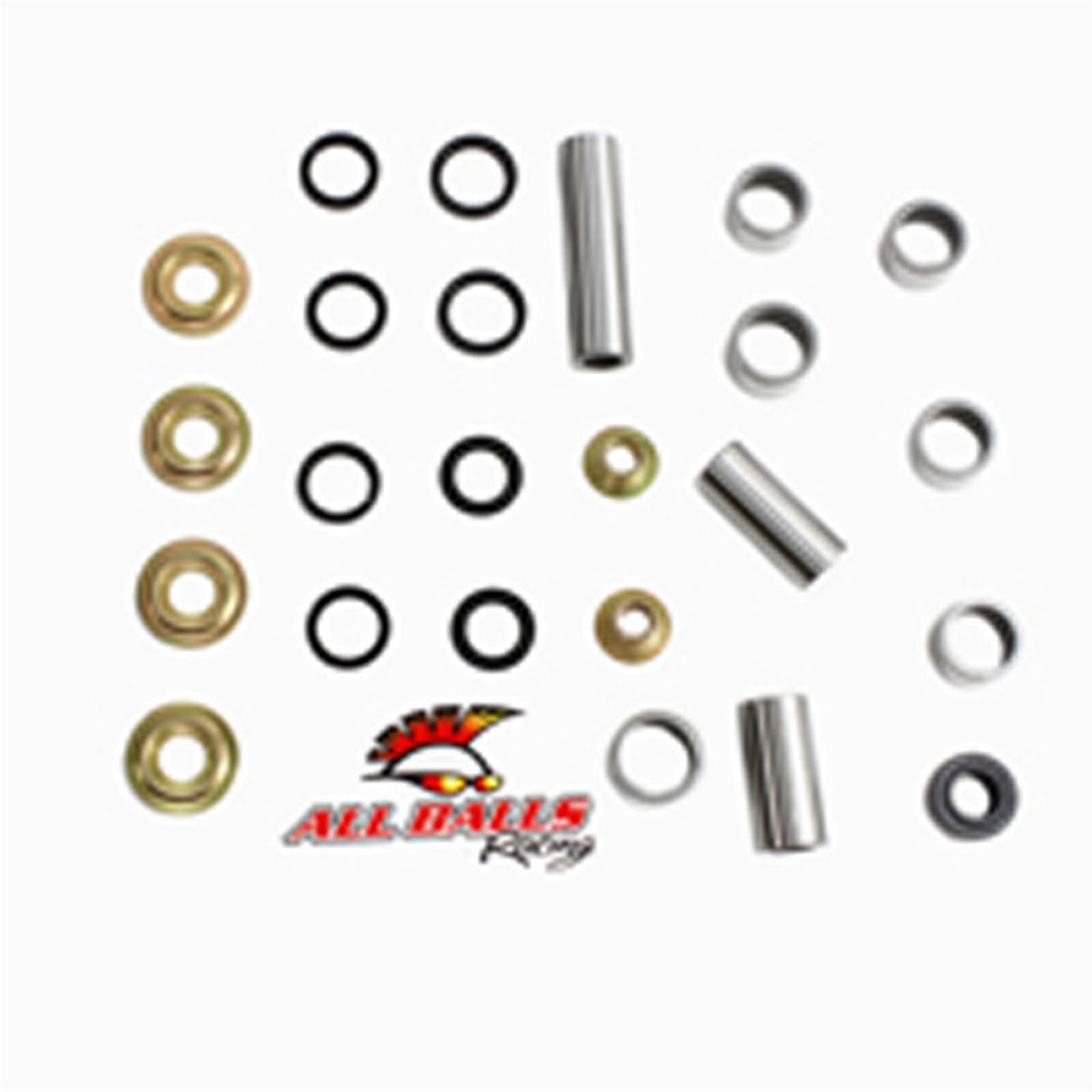 Swing Arm Linkage Bearing Kit_586687