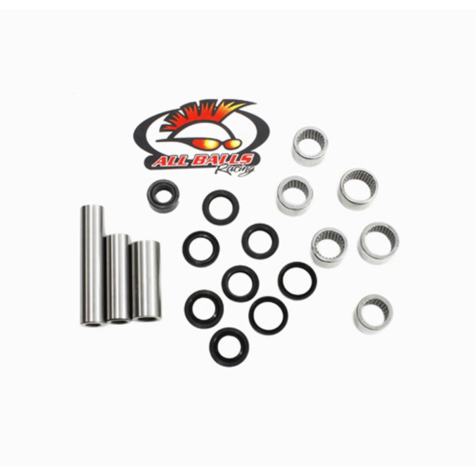 Swing Arm Linkage Bearing Kit_586689