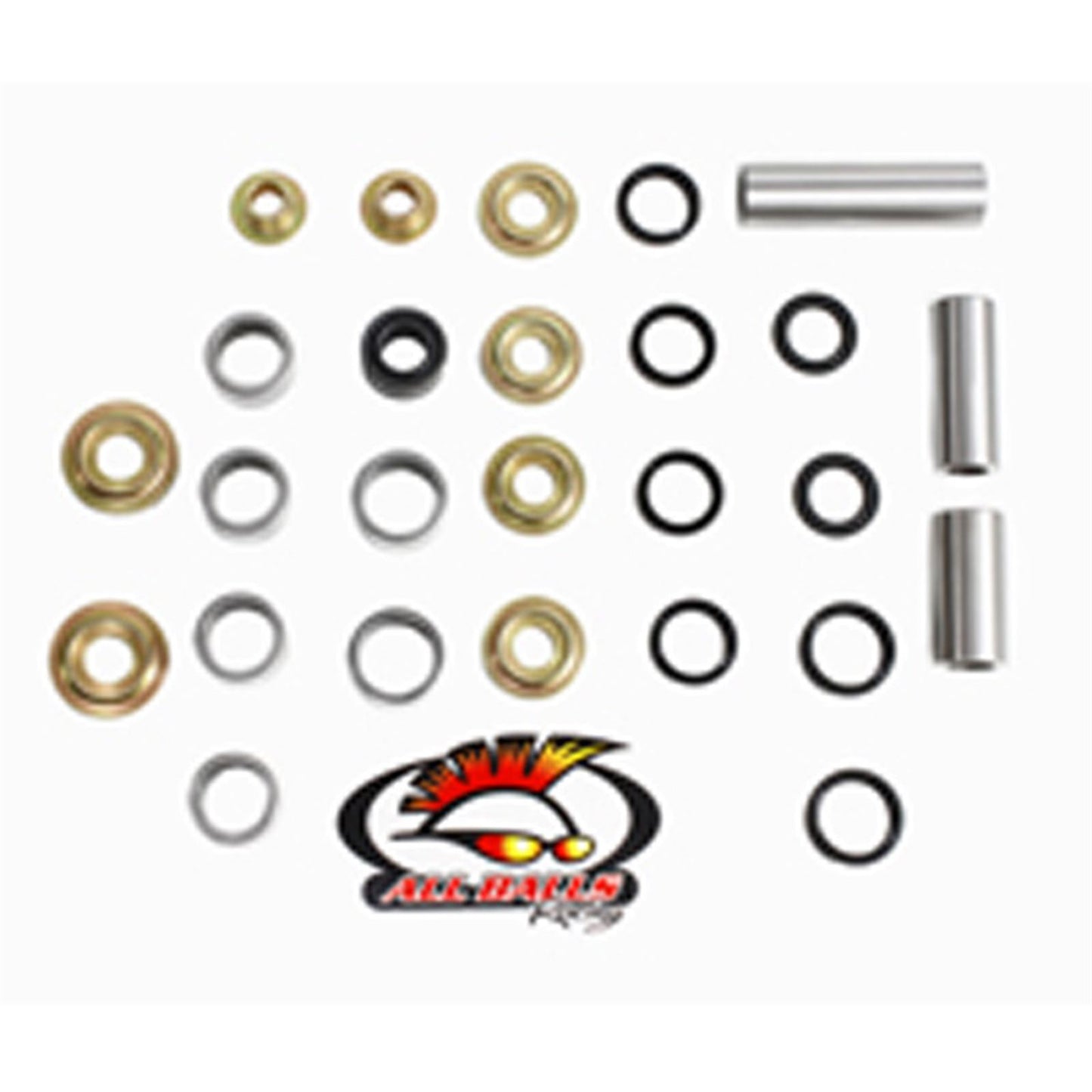 Swing Arm Bearing Kit_586695
