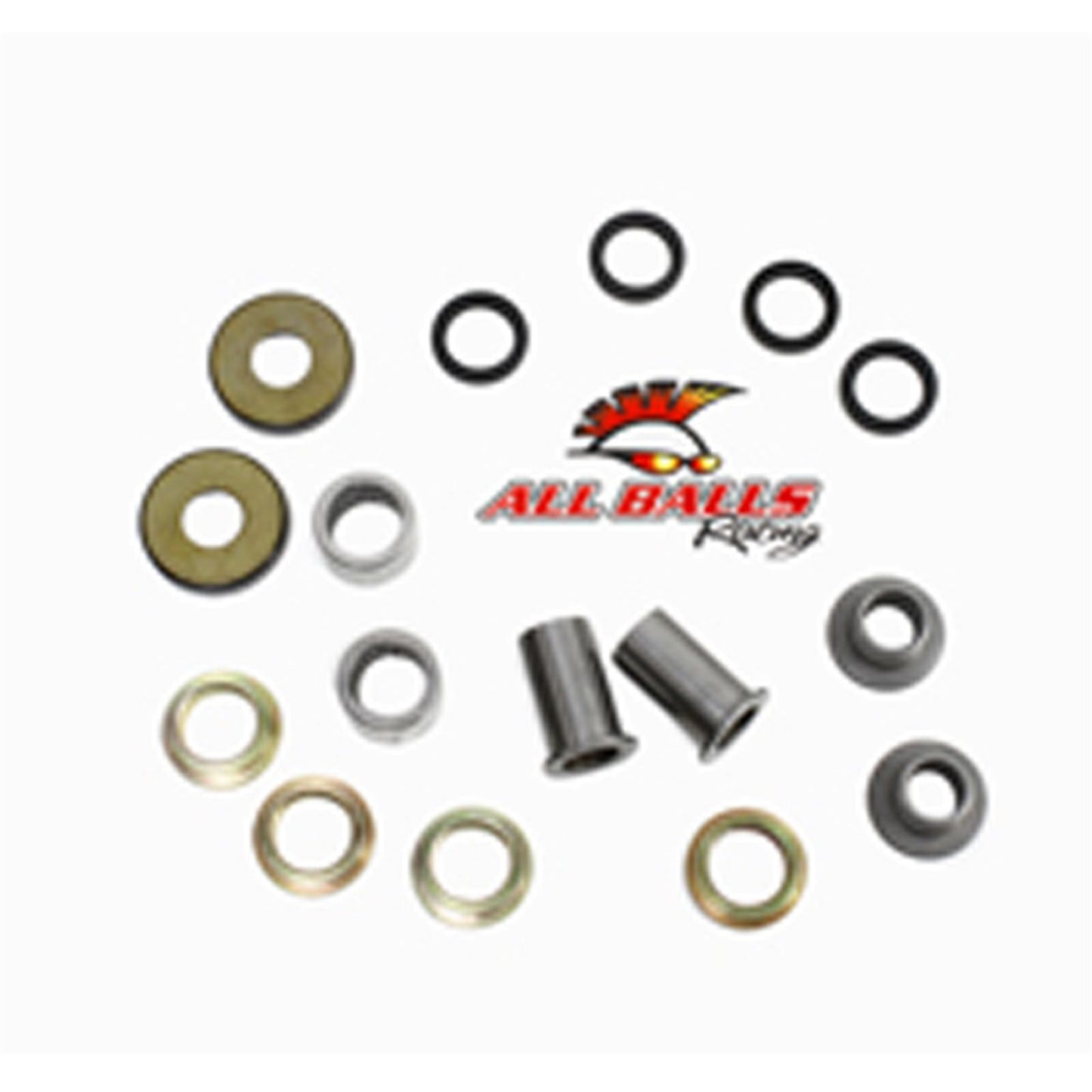 Swing Arm Bearing Kit_586702