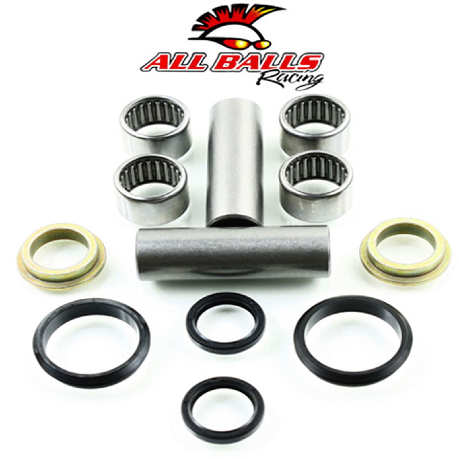 Swing Arm Bearing Kit_586706