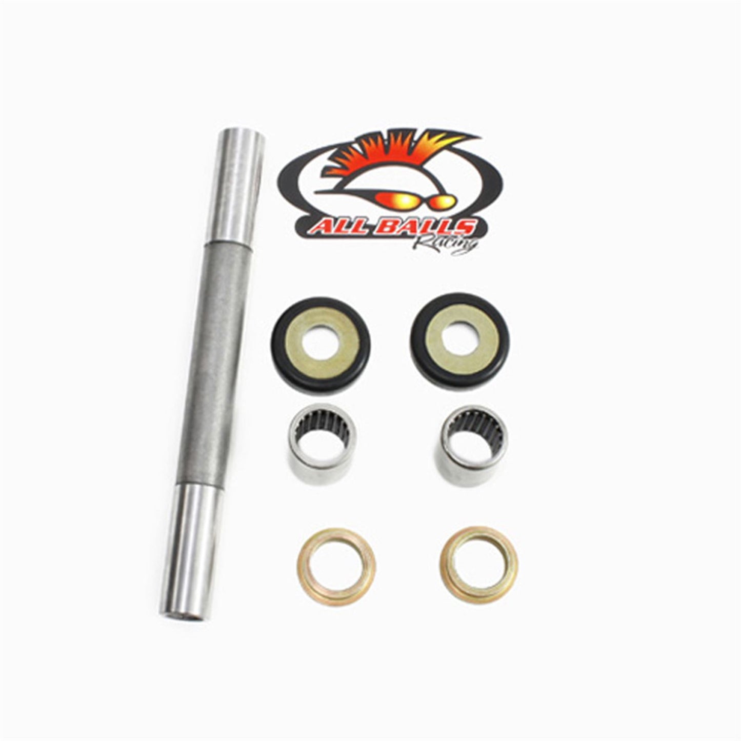Swing Arm Bearing Kit_586720