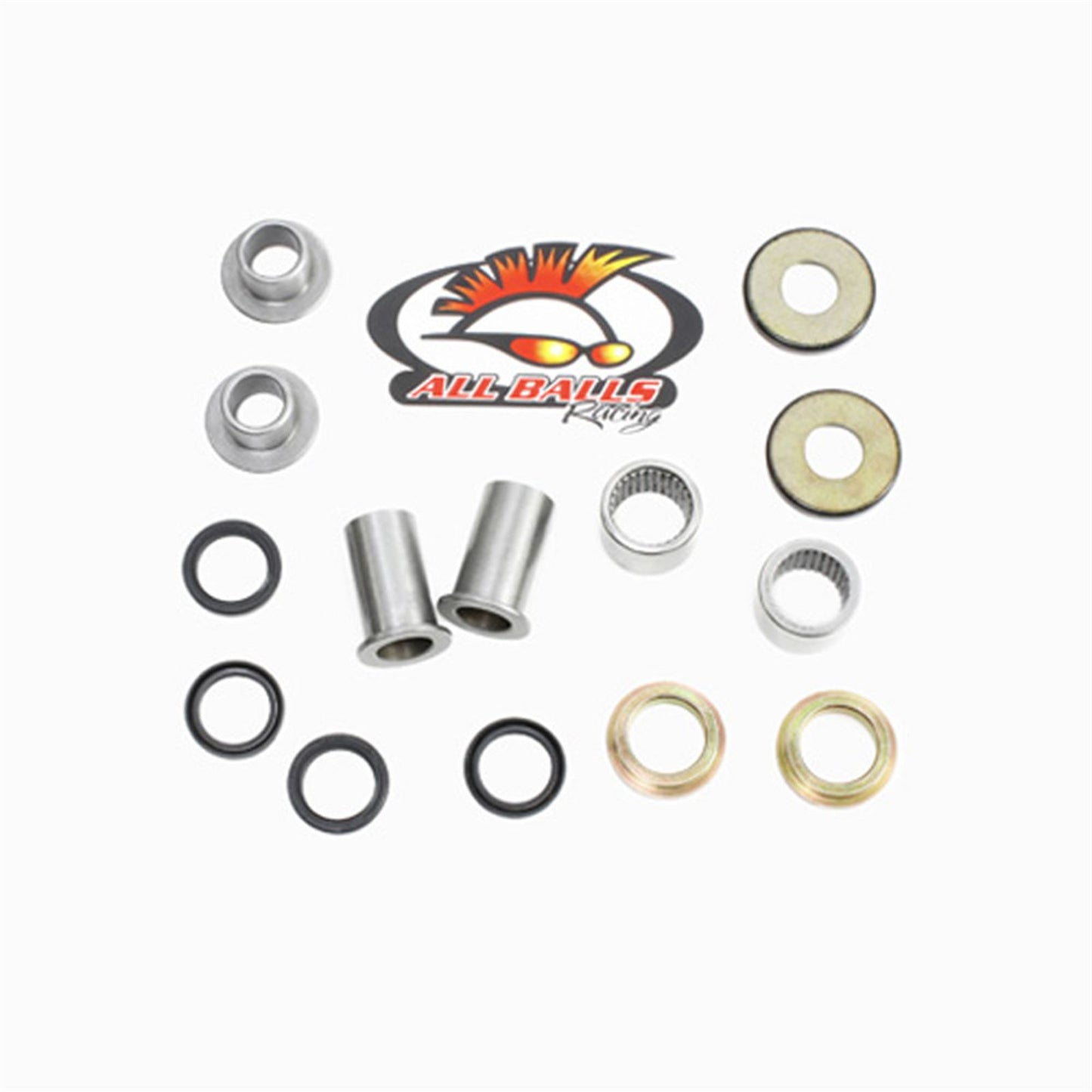 Swing Arm Bearing Kit_586743