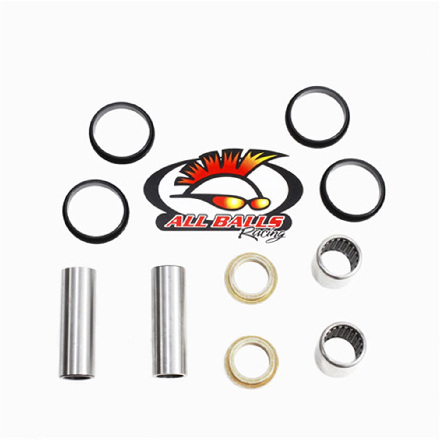 Swing Arm Bearing Kit_586746
