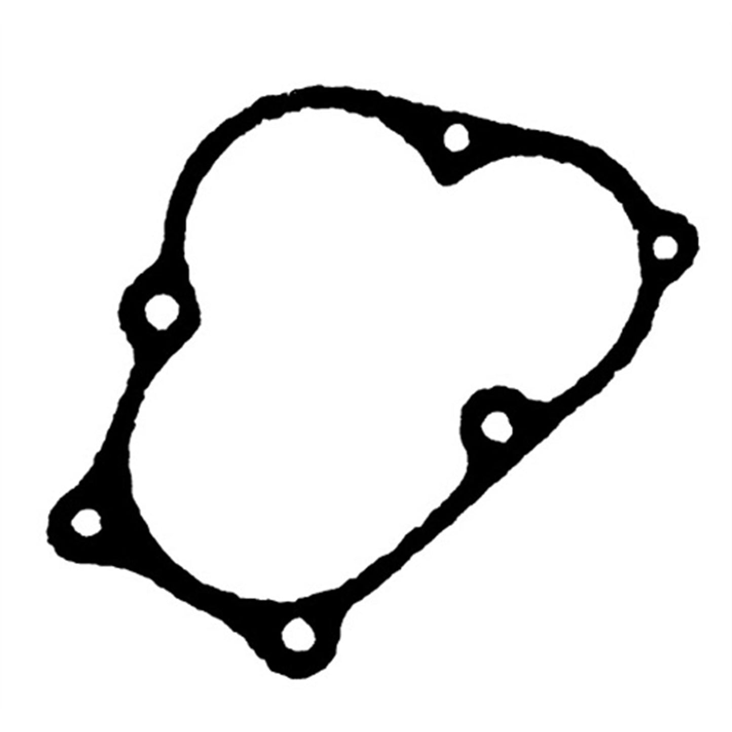 Vertex Pump Housing Gasket for Yamaha 717120_1084555