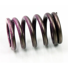 Psychic MX Components Intake Spring for Kawasaki KX250F [MPN: XU-09539IS]_997354