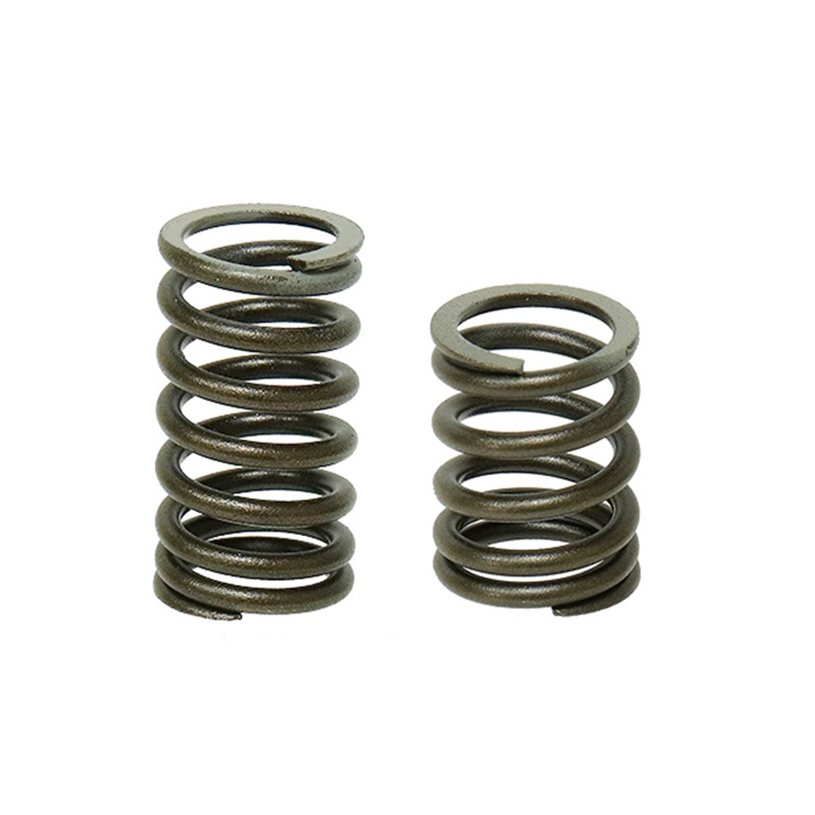 Bronco Intake and Exhaust Valve Springs [MPN: AU-09518S-3]_998307