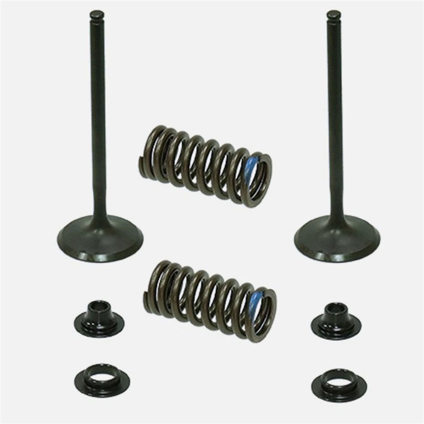  Intake Valve Kit for Kawasaki KX450F_1835837