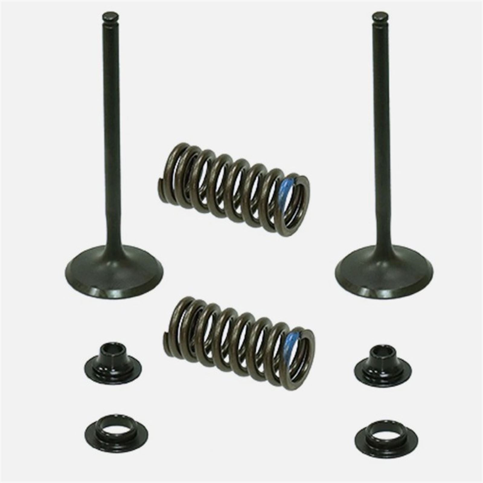  Intake Valve Kit for Kawasaki KX450F_1835837