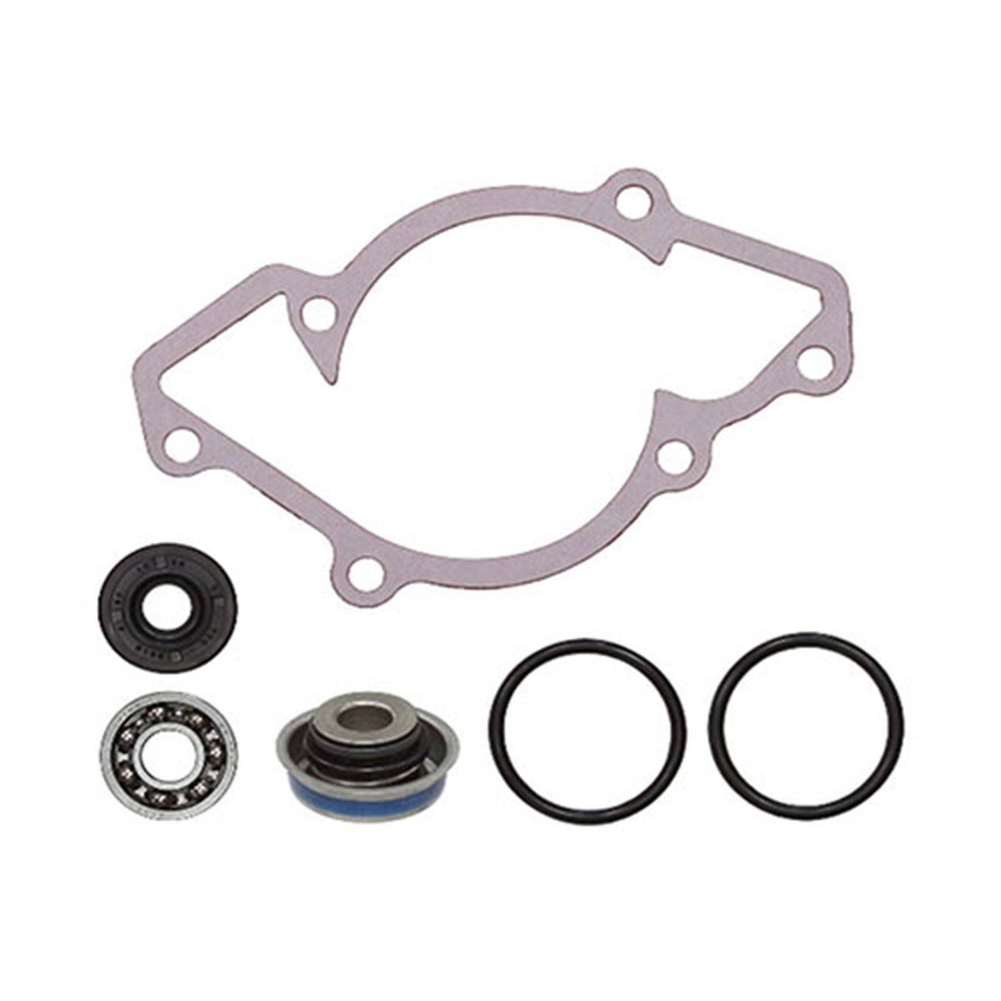 SPI Sports Parts Inc Water Pump Repair Kit for Ski-Doo Snowmobiles 1999-2019 10-721258_999293