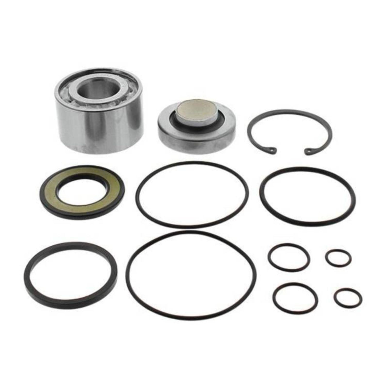 All Balls Racing Jet Pump Rebuild Kit 14-3033_1508794