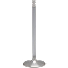 KPMI White Diamond Exhaust Valve for M8 - 1.284mm (Oversize) [MPN: 21-21017H]_612176