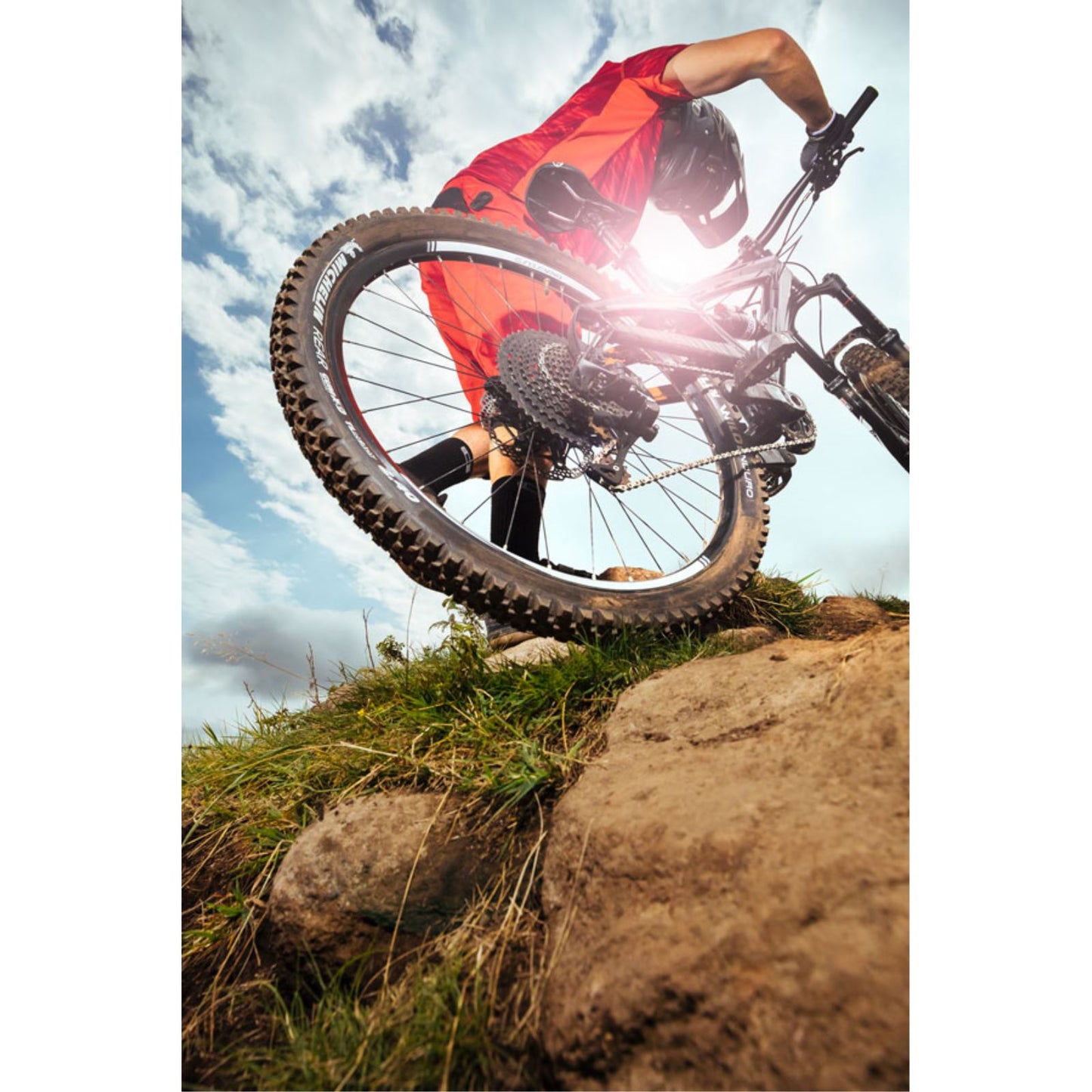 Michelin - Bicycle Wild Enduro Rear Tire - 29X2.40 50583_1253647