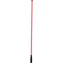 DragonFire Racing LED Lighted Whip V2 with Remote - Clear - 4' 522605_985983
