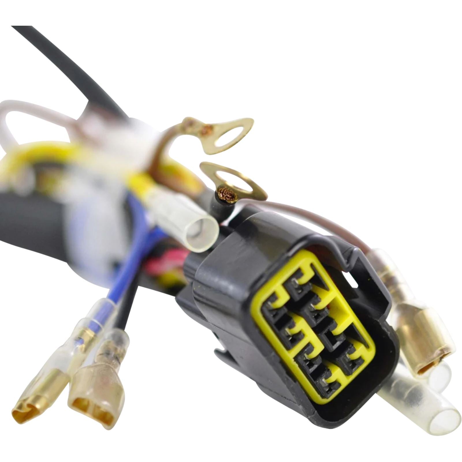 RMSTATOR Generator Stator [MPN: RM01058]_1834914