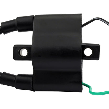 RMSTATOR External Ignition Coil [MPN: RM06048]_1834963