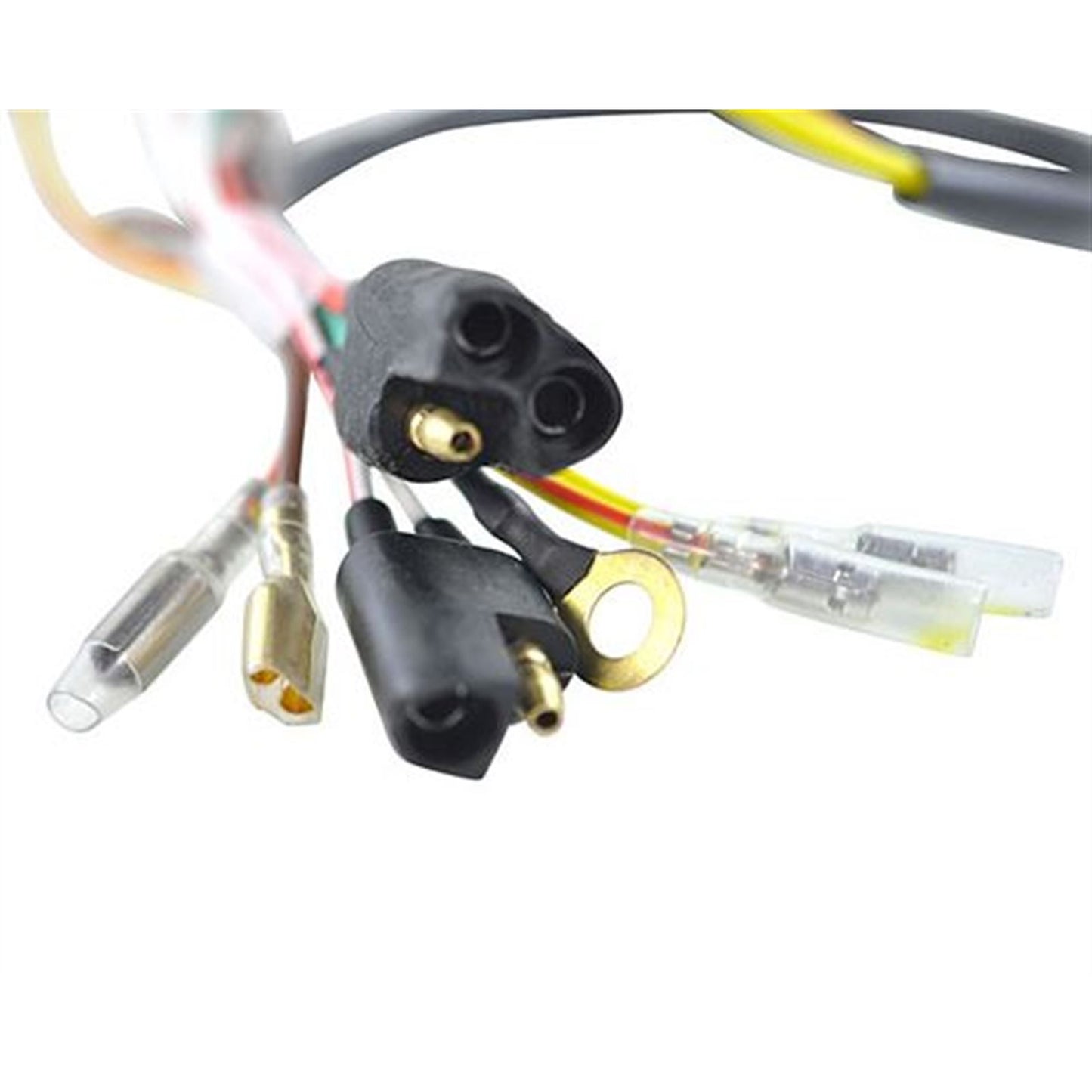 RMSTATOR Kit Stator + Flywheel [MPN: RMS900-102180]_884823