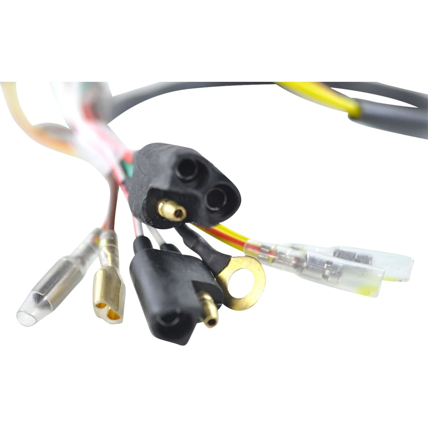 RMSTATOR Kit Stator + Flywheel [MPN: RMS900-102180]_1831280