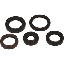 Vertex Engine Oil Seal Kit for Polaris 822394_1091412