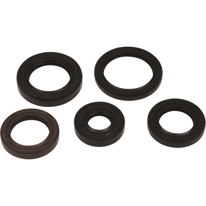Vertex Engine Oil Seal Kit for Polaris 822394_1091412