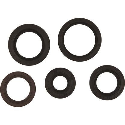 Vertex Engine Oil Seal Kit for Polaris 822394_1091413