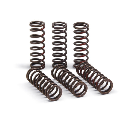 Pro Circuit High Performance Clutch Springs [MPN: CSH21450-CS]_729456