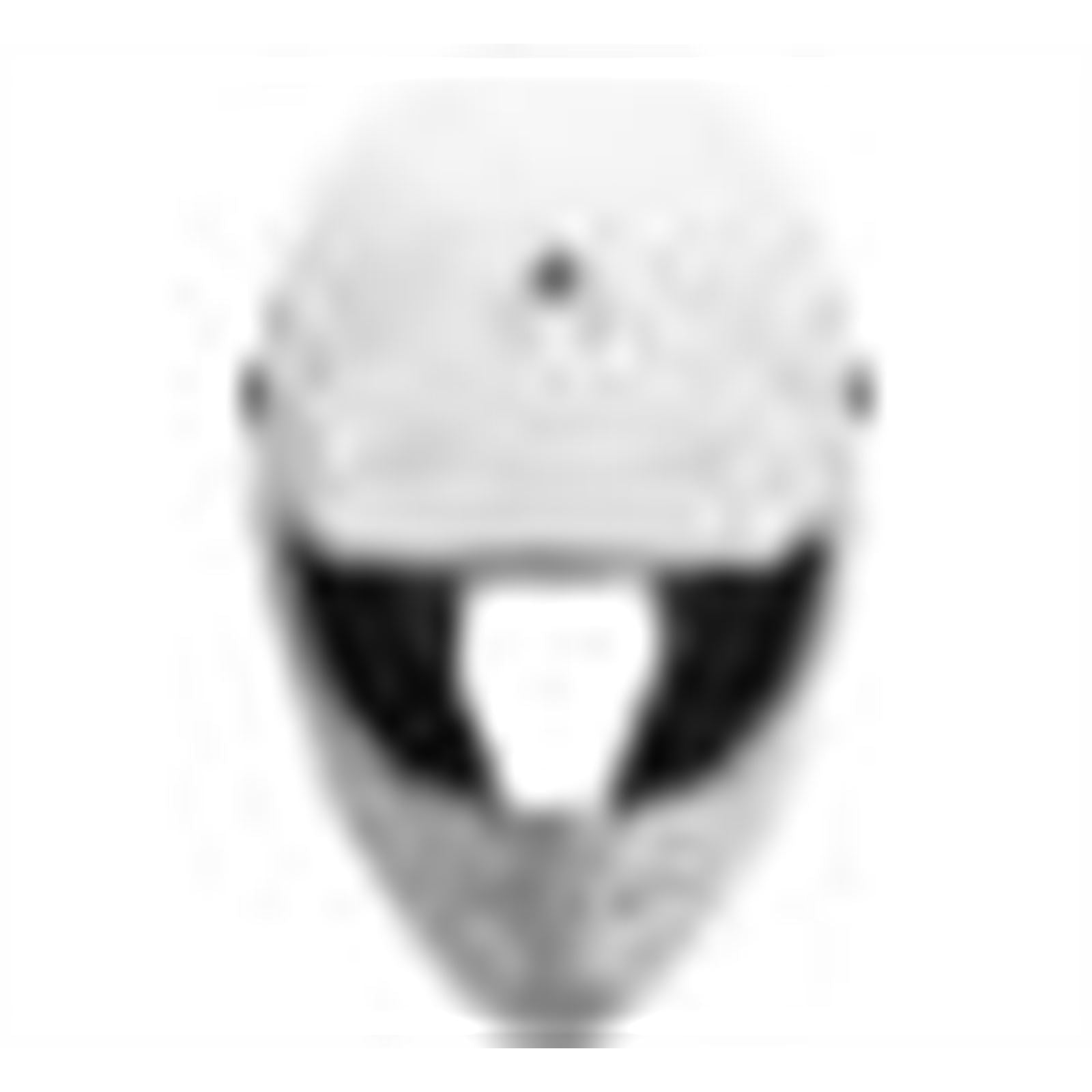 Youth AR1 Helmet - White - Youth Large_758063