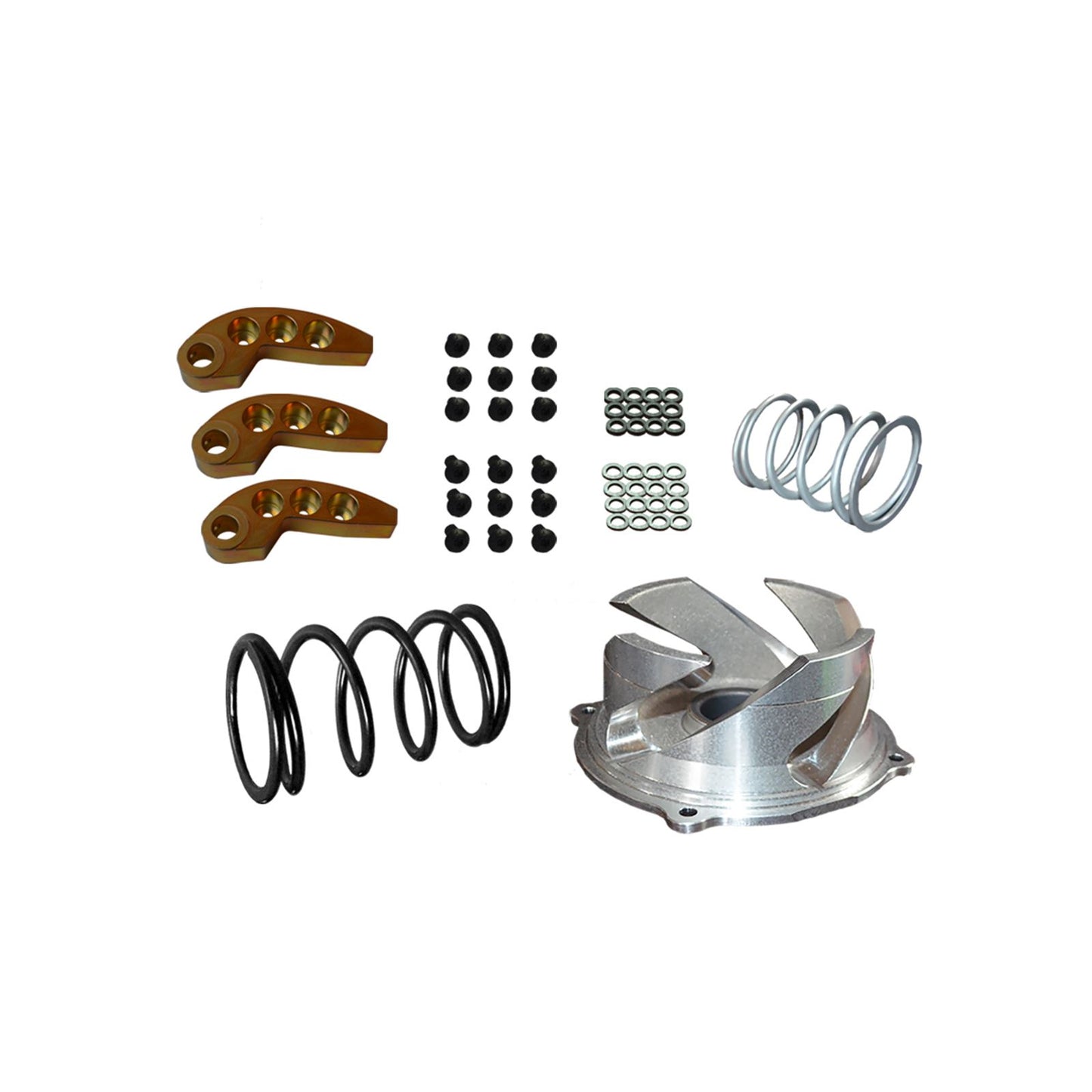 Straightline Performance Clutch Kit with Adjustable Weights fits Polaris [MPN: 123-160]_1475816