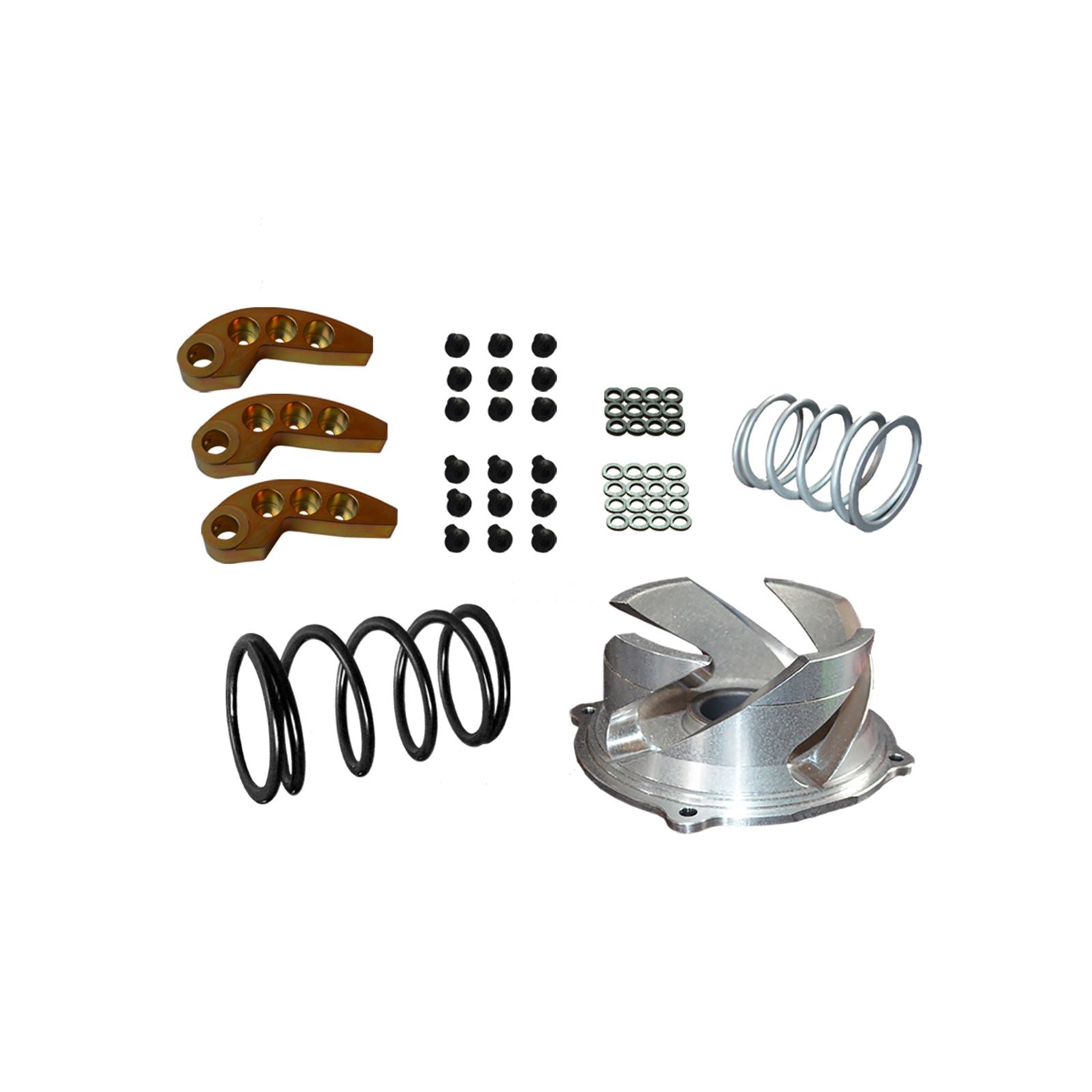 Straightline Performance Clutch Kit with Adjustable Weights fits Polaris [MPN: 123-160]_1475816