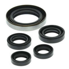 QuadBoss Oil Seal Set 822249_1192056