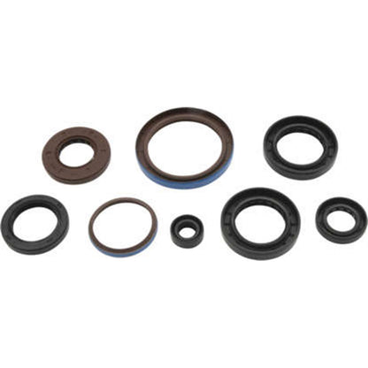 QuadBoss Oil Seal Set for Arctic Cat 822381_1060273