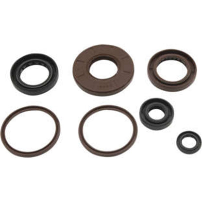 QuadBoss Oil Seal Set for Arctic Cat 300 DVX '09-15 822384_1063023