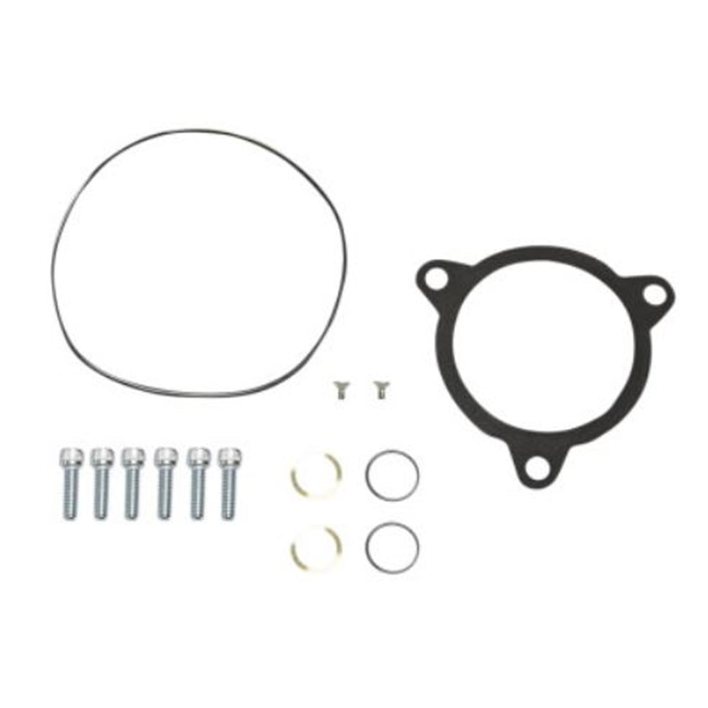 Arlen Ness Monster Air Cleaner Gasket/Hardware Kit 602-020_840545