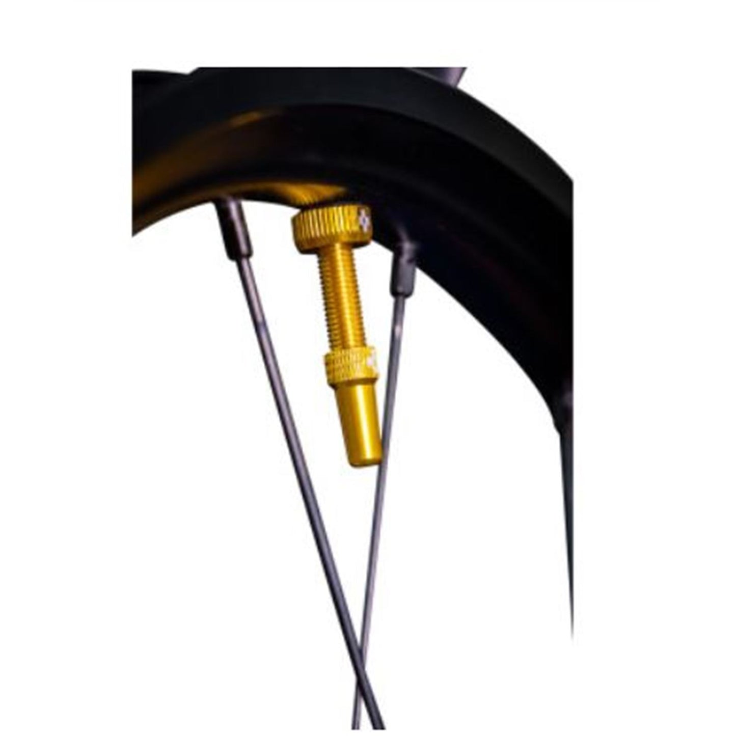 Muc-Off Tubeless Valve Stems - Gold [MPN: 20426]_859408