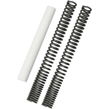 Burly Brand Fork Springs for Rebel B28-1100_1062581