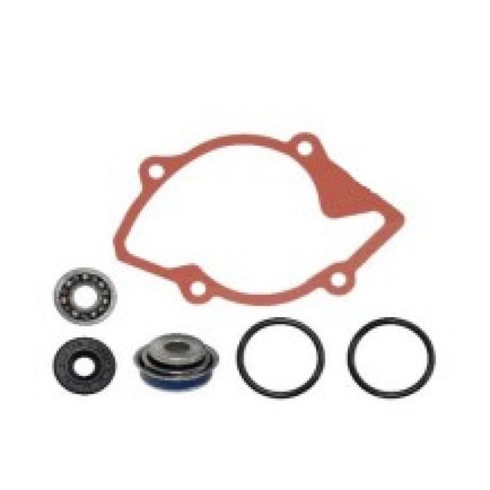 SPI Sports Parts Inc Water Pump Repair Kit for Ski-Doo Snowmobiles 2018-2024 SM-10101_1130066