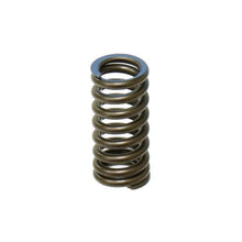 Psychic MX Components Intake Valve Spring - XU-09532-1IS XU-09532-1IS_1175774