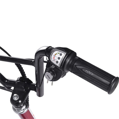 MotoTec USA Groove 36v 350w Big Wheel Electric Scooter_908939