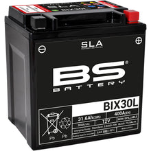 BS Battery Battery - 12V - 21ah - BIX30L [MPN: 300631]_914921