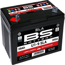 BS Battery Battery - 12V - 28ah - U1-9 [MPN: 300901]_1099421