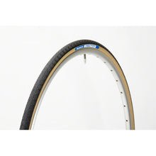 Panaracer Pasela Protite Bike Tire 700x25C 66TPI - Black [MPN: RF725-LX-18PT2]_1232974