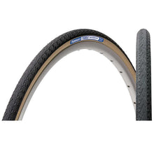 Panaracer Pasela Protite Bike Tire 700x25C 66TPI - Black [MPN: AW725-LX-18PT2]_1109833
