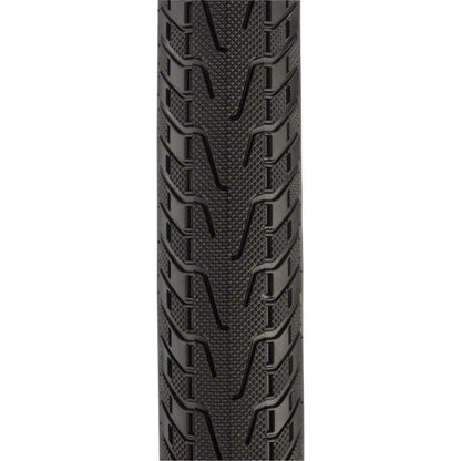 Panaracer Pasela Protite Bike Tire 700x32C 66TPI - Black [MPN: AW732-LX-18PT2]_1207500