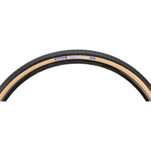 Panaracer Pasela Protite Bike Tire 700x35C 66TPI - Black [MPN: RF735-LX-18PT2]_1207498