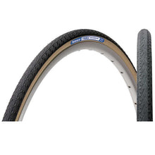 Panaracer Pasela Protite Bike Tire 700x38C 66TPI - Black [MPN: AW738-LX-18PT2]_1109841
