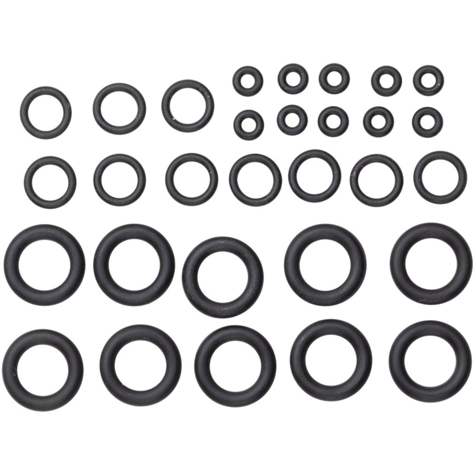 SRAM Pro Bleed Syringe - O-ring Kit [MPN: 11.5315.053.040]_1230820