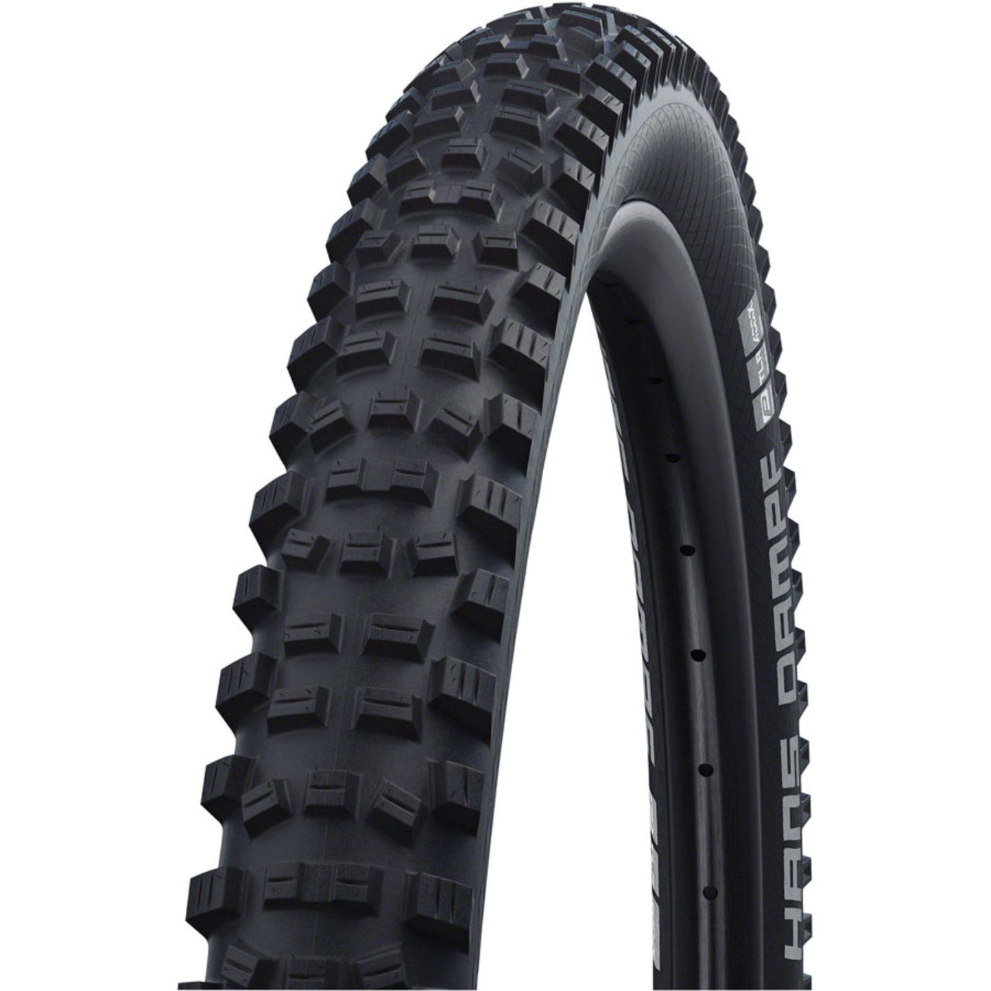 Schwalbe Hans Dampf Tire - 24x2.35 - 67TPI - Black 11601118_1230660