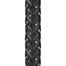 Schwalbe Marathon Winter Plus Tire - 700x35C - 67TPI - Black 11126448.02_1221571