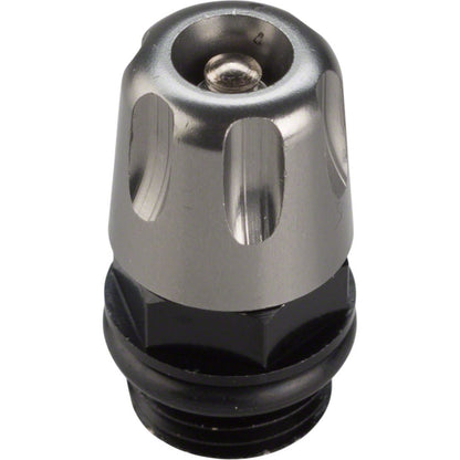 RockShox Rear Shock Air Valve Kit  11.4118.041.000_1200425