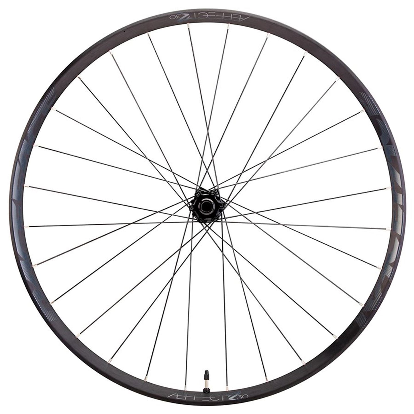 Race Face Aeffect R Wheel - Front 29''/622 - 15mm TA 110mm [MPN: WH21AERBST3029F]_1121966